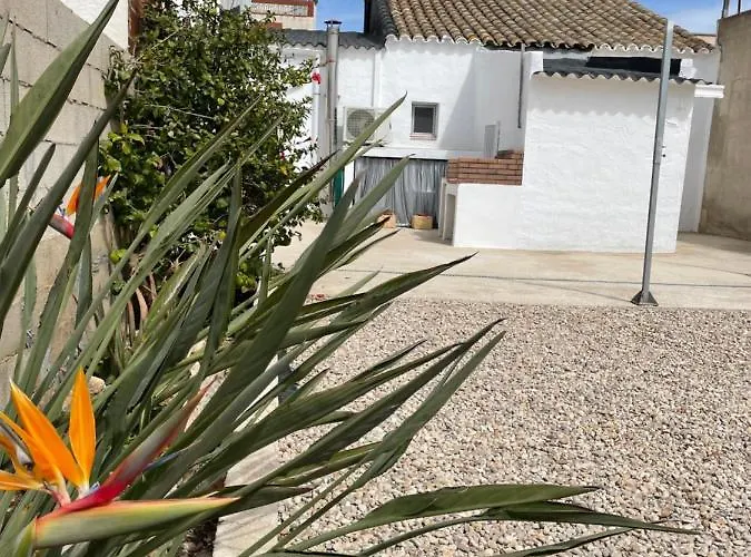 La Caseta Del Iaios